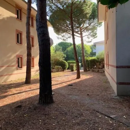Appartement T1 Residence Sporting 1Er Etage Toulouse Exterior photo